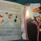 Walt Disney / Prinssi ja Ruusunen - pikkukuva 5