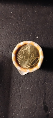 1kpl 20c 1999