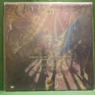 THE BLACK CROWES - REMEDY EX+/EX+ 12" - pikkukuva 2