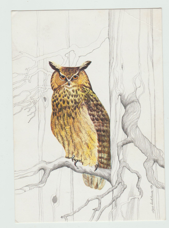 Urpo Huhtanen: HUUHKJA  (Bubo bubo )  (R)