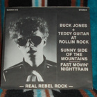 BUCK JONES & TEDDY GUITAR ~ Sunny Side... ~ 7" Single - pikkukuva 2