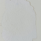 * iso collien rintakuva, 22 x 15 cm * - pikkukuva 2