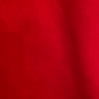 HD of Greensboro - naisten fleece USAsta - pikkukuva 3