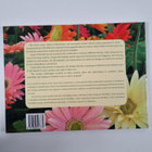 Helen Dafter : Floral Interpretations for Silk Ribbon - pikkukuva 2