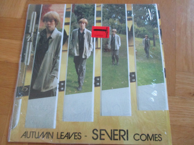 Severi Pyysalo: Autumn Leaves - Severi Comes
