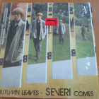 Severi Pyysalo: Autumn Leaves - Severi Comes - pikkukuva 1