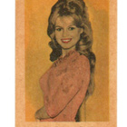 Purkkakuva D n:o 7 BRIGITTE BARDOT - pikkukuva 1