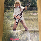 Armi Aavikko juliste + Bonnie Tyler juliste - pikkukuva 1