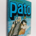 Annikki Kariniemi : Pato - pikkukuva 1