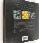 Patricia Guy : Wines of Italy. Il gusto italiano del vino - pikkukuva 2