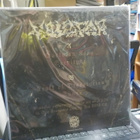 VASSAFOR - DEATH TRANSMISSION LP CHINA  2014 - pikkukuva 2