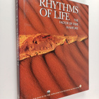 Rhytms of life : The factor of time in nature - pikkukuva 1