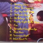 Pete Anderson - Working Class CD - pikkukuva 3