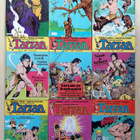 Tarzan : 9kpl lehtiä v. 1987 Ei postikuluja! - pikkukuva 2