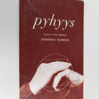 Johannes Ojansuu : Pyhyys : rajalla oleva ihminen - pikkukuva 1