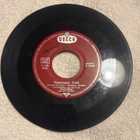 CATERINA UND SILVIO - THE PEPPERMINT TWIST 7" - pikkukuva 2