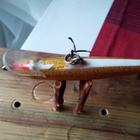 Rapala Floating 6,5cm - pikkukuva 4