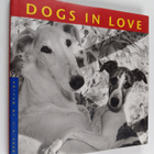 Jana Martin : Dogs in Love - pikkukuva 1