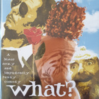 What? DVD (Roman Polanski) - pikkukuva 1