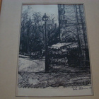 Ester Helenius 1875 - 1955 - pikkukuva 5