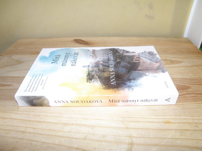 Anna Soudakova Mitä männyt näkevät (nidottu)