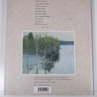 Elämän syvä urhoollisuus - pikkukuva 2