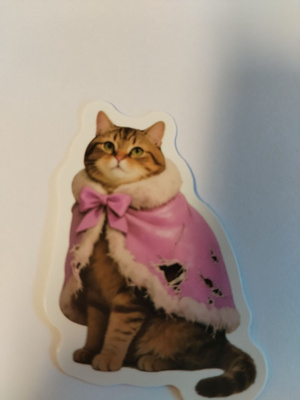 Kissa tarra.