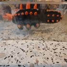 Lost Planet 2 Salamander -figuuri (UUSI) - pikkukuva 4