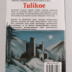 Margit Sandemo : Tulikoe - pikkukuva 2