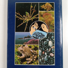 Heather Angel : Family water naturalist - pikkukuva 2