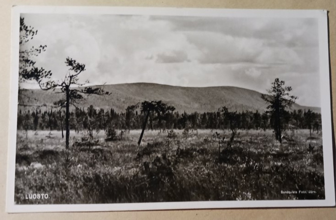 Sodankylä, Luosto, vanha mv valokuvapk, p. 1951