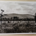 Sodankylä, Luosto, vanha mv valokuvapk, p. 1951 - pikkukuva 1