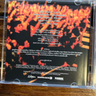 Nightwish: From Wishies To Eternity - Live cd - pikkukuva 4