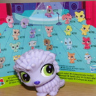LITTLEST PET SHOP lila Blind Bag PIIKKISIKA, SIILI #2774 - pikkukuva 1
