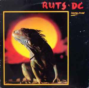 RUTS DC:ANIMAL NOW(Punk)
