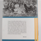 Vähäsen vilmehtii - pikkukuva 2