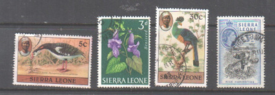 Sierra leonea