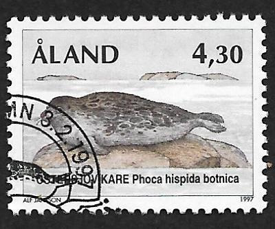 Jääkauden reliikit (LAPE 126) EP O