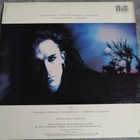 Dead Or Alive - Mad, Bad and Dangerous To Know  ; lp - pikkukuva 2