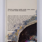 Venla Sainio : Paronin seikkailut - pikkukuva 2