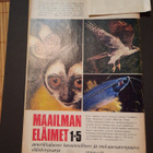 Metsästys ja Kalastus 1968, n°9 syyskuu - pikkukuva 2