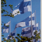 "Suomen liput saloissa"-KULKEMATON POSTIKORTTI - pikkukuva 1