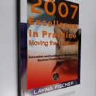 Layna Fischer : 2007 Excellence in Practice - Moving the ... - pikkukuva 1
