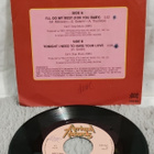 The Ritchie Family I'll Do My Best 7"single - pikkukuva 2