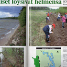 Suomen Luonto n:o 9 1994 Korkeasaari. Ketokukat suosivat niu - pikkukuva 5