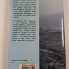 Atso Haapanen : Piippulohi - pikkukuva 2