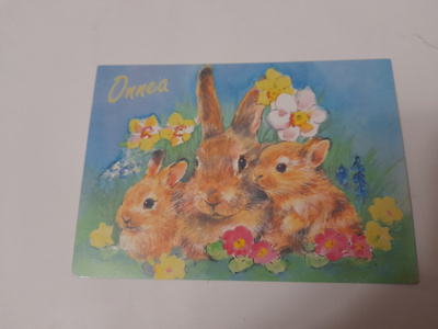 Onnea - pupuperhe