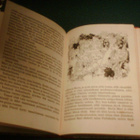 Marjatta Kurenniemi: PUUHISET (1.p.1956) Sis.postikulut - pikkukuva 3