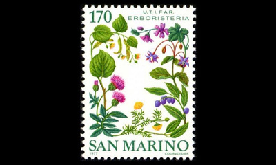 San Marino 1148 ** Lääkekasvit (1977)