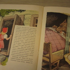 Punahilkka - Asmo Alho - pikkukuva 5